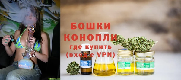 гидра Алексеевка
