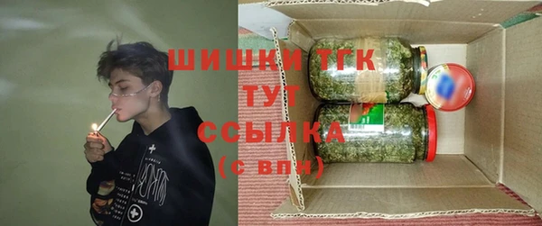 гидра Алексеевка