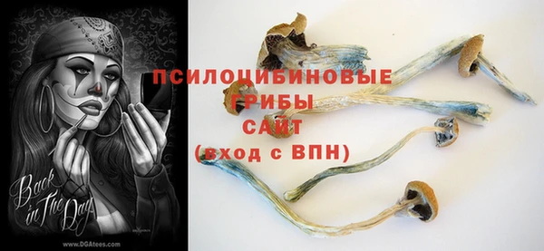 соль курить ск Алзамай