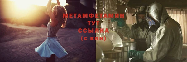 гидра Алексеевка