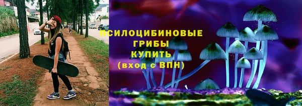 соль курить ск Алзамай